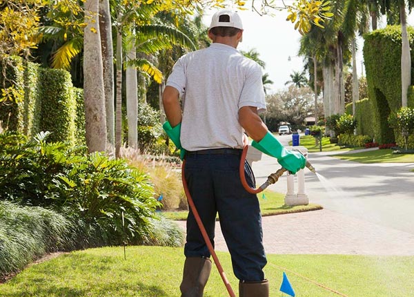 About Auburn University AL Pest Control Pros